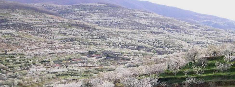 Casa Rural El Campanario แคร์เต ภายนอก รูปภาพ